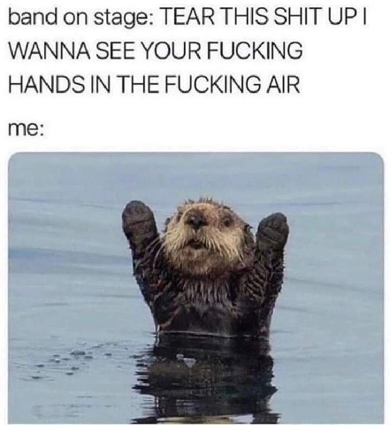 band on stage: TEAR THIS SHIT UP WANNA SEE YOUR FUCKING HANDS IN THE FUCKING AIR me: