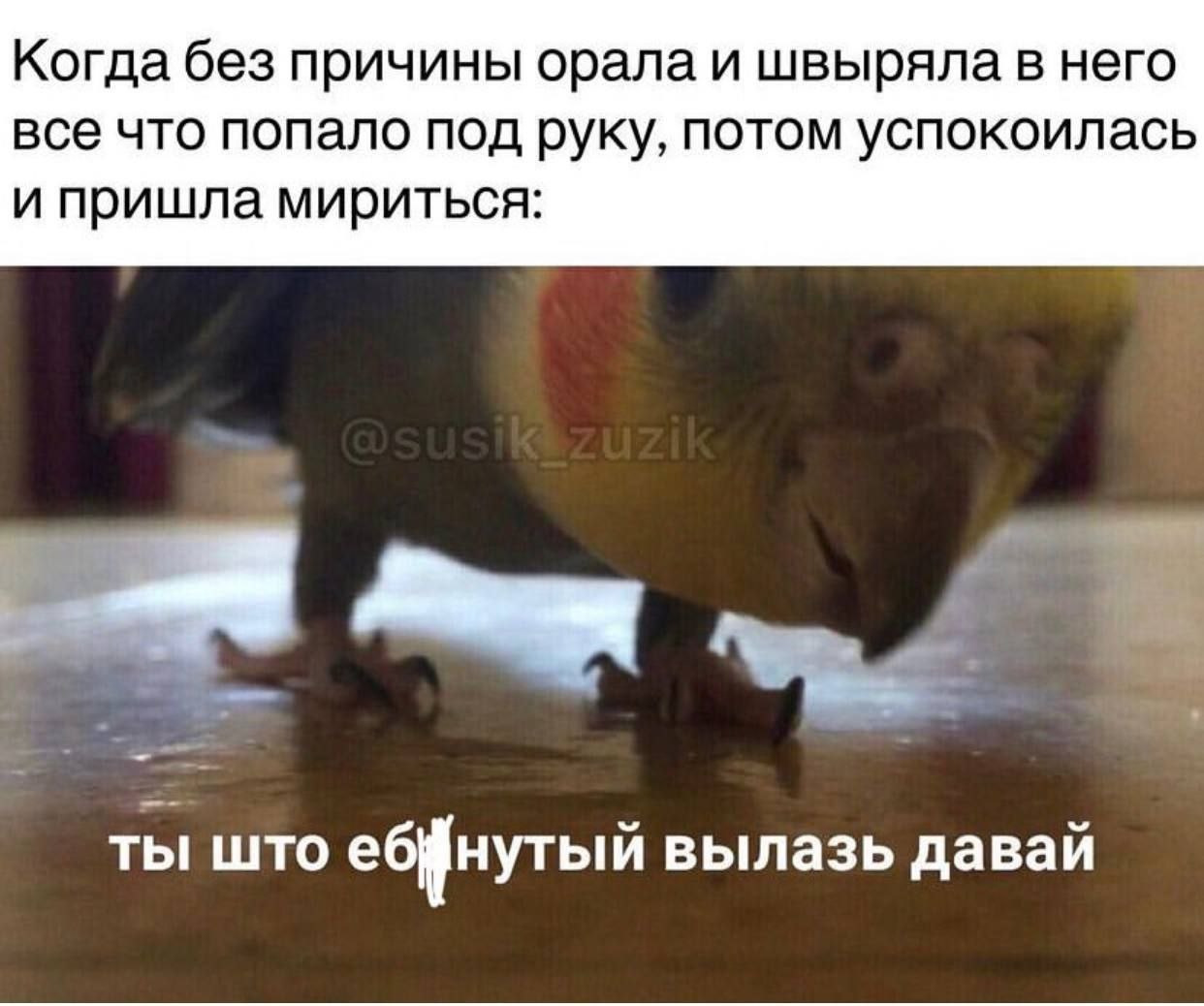 Когда без причины орала и швыряла в него все что попало под руку, потом успокоилась и пришла мириться: ты што вылазь давай
