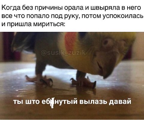 Когда без причины орала и швыряла в него все что попало под руку, потом успокоилась и пришла мириться: ты што вылазь давай
