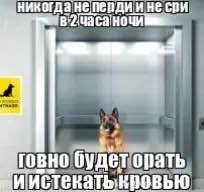 a говно