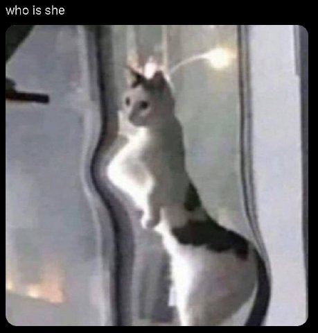 who is she