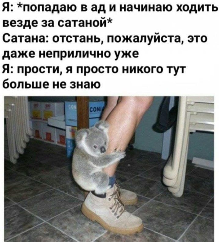 Я: *попадаю вад и начинаю ходить везде за сатаной* Сатана: отстань, пожалуйста, это даже неприлично уже Я: прости, я просто никого тут больше не знаю