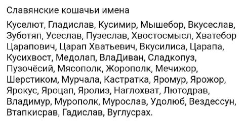 Славянские кошачьи имена Куселют, Гладислав, Kycumup, Мышебор, Вкусеслав, Зуботяп, Усеслав, Пузеслав, Хвостосмысл, Хватебор Царапович, Царап Хватьевич, Вкусилиса, Царапа, Кусихвост, Медолап, ВлаДиван,