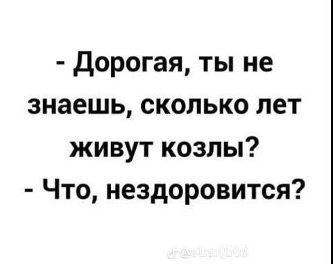 Дорогая, ты не знаешь, сколько лет живут козлы? Что, нездоровится?