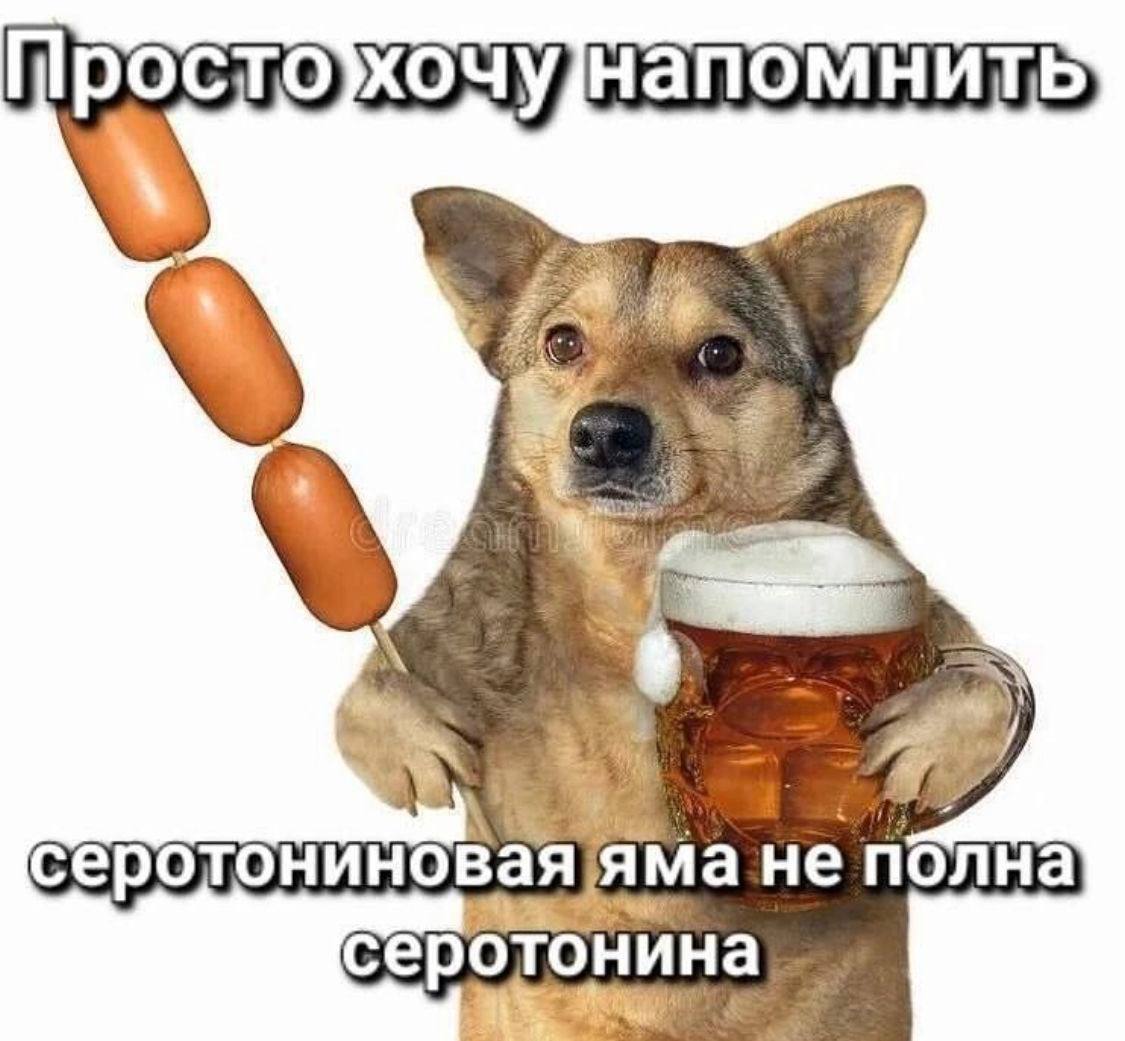 хочунапомнить: яма не полна серотонина