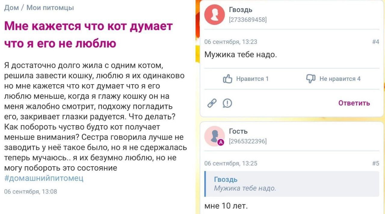 Дом Мои питомцы Гвоздь 9 [2733689458] Мне кажется что кот думает что я его не люблю 06 сентября, 13:23 #4 Мужика тебе надо Я достаточно долго жила с одним котом, решила завести кошку, люблю я одинаков