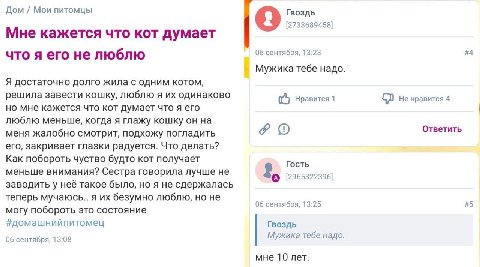 Дом Мои питомцы Гвоздь 9 [2733689458] Мне кажется что кот думает что я его не люблю 06 сентября, 13:23 #4 Мужика тебе надо Я достаточно долго жила с одним котом, решила завести кошку, люблю я одинаков