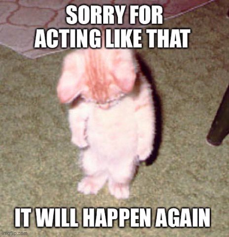 SORRY FOR ACTING THAT IT WILL HAPPEN AGAIN