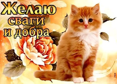 елаю