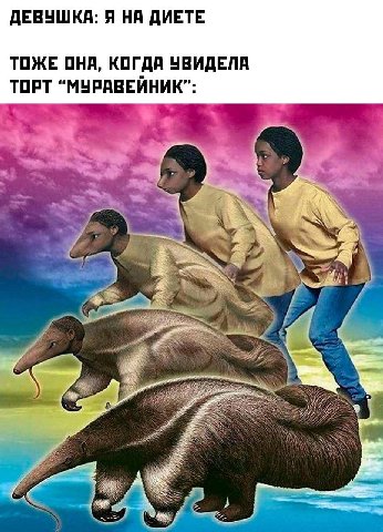 ДЕВУШКА: Я НА ДИЕТЕ ТОЖЕ ОНА, КОГДА УВИДЕЛА ТОРТ “МУРАВЕЙНИК”: 2 фрак.