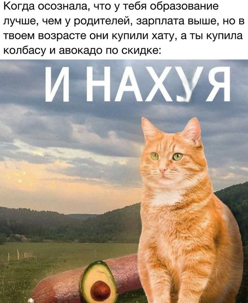 Когда осознала, что у тебя образование лучше, чем у родителей, зарплата выше, но в твоем возрасте они купили хату, а ты купила колбасу и авокадо по скидке: И НАХУЯ