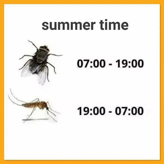 summer time 07:00 19:00 19:00 07:00