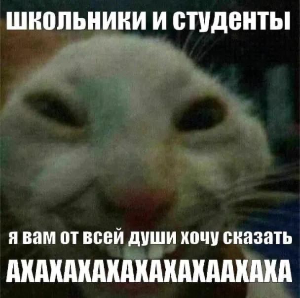 ШКОЛЬНИКИ И я вам от всей души хочу сказать АХАКАКАХАКАКАКААКАКА