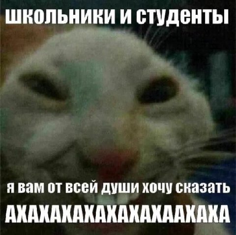 ШКОЛЬНИКИ И я вам от всей души хочу сказать АХАКАКАХАКАКАКААКАКА