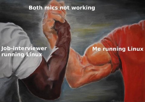 Both mics not working Job-interviewer Me running Linux running Linux