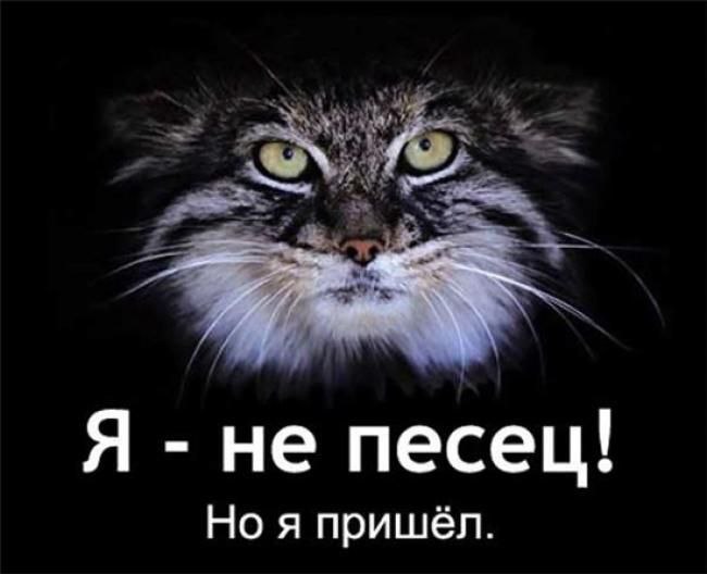 Я не песец! Но я пришёл.