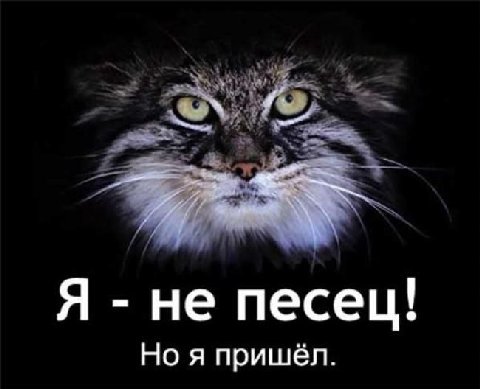 Я не песец! Но я пришёл.