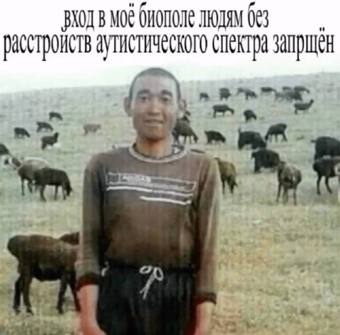 мое биополе людям 063 расстроиств аутистического спектра запрщен
