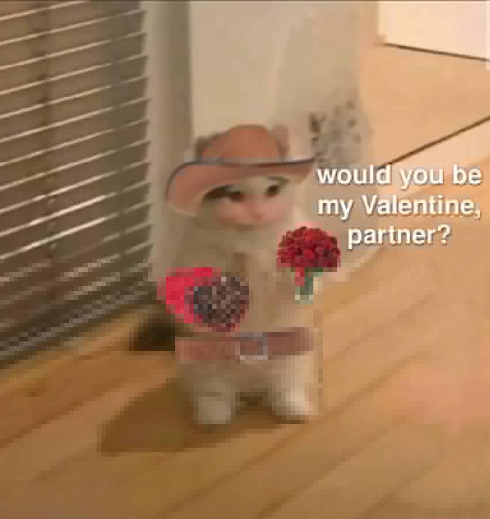would you be my Valentine, partner?
