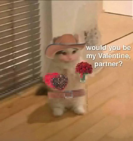 would you be my Valentine, partner?