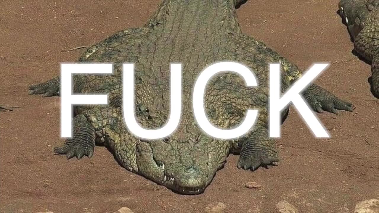 ‘i PASSE palace Noes Filan, ONS ge ; ee gator wishes you the -
