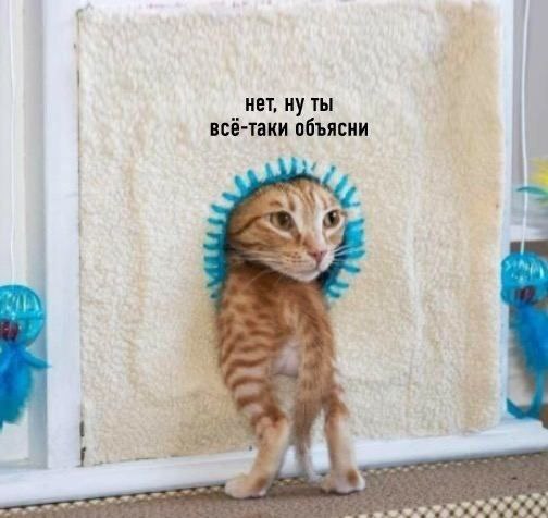 нет, ну ты всё-таки объясни