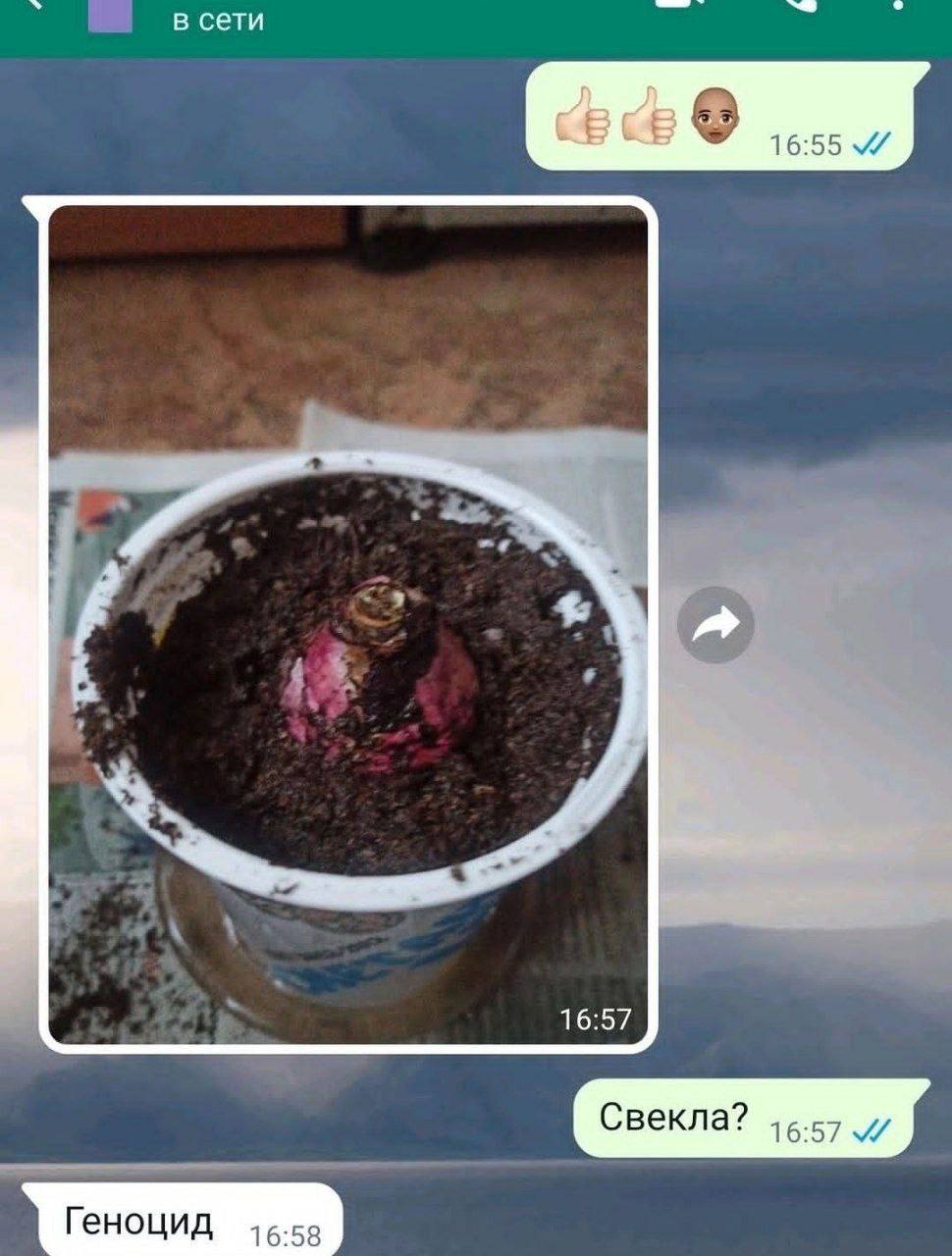 в сети 16:57 Свек 16:57