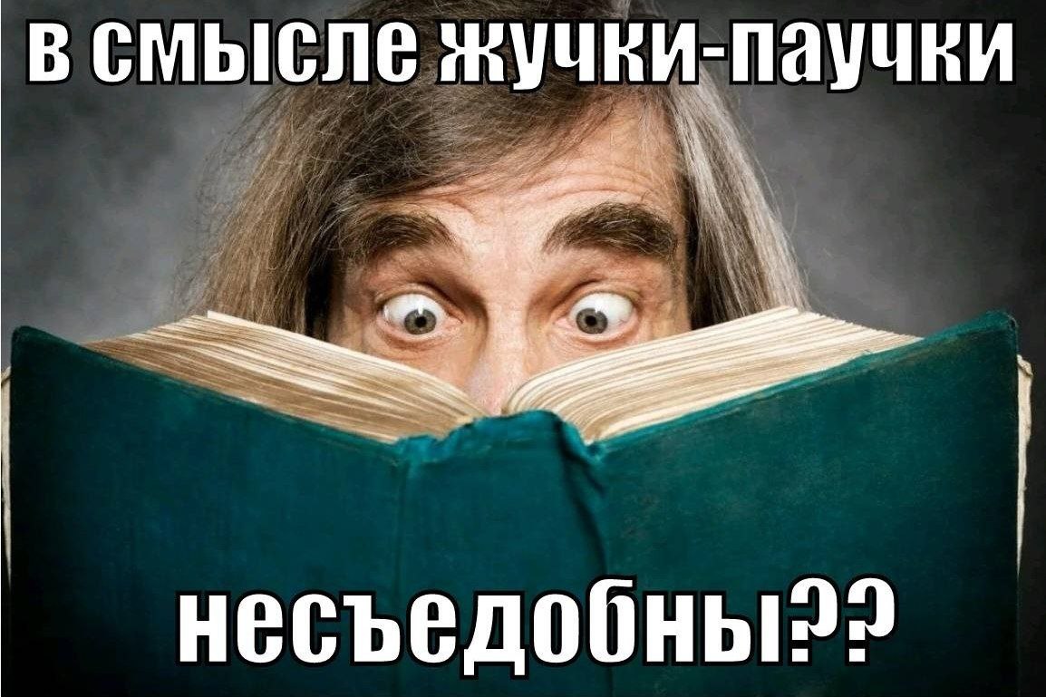 всмысле жучки-паучки А