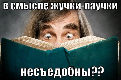 всмысле жучки-паучки А