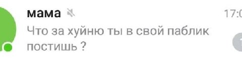 Что за хуйню ты в свой паблик 6 постишь