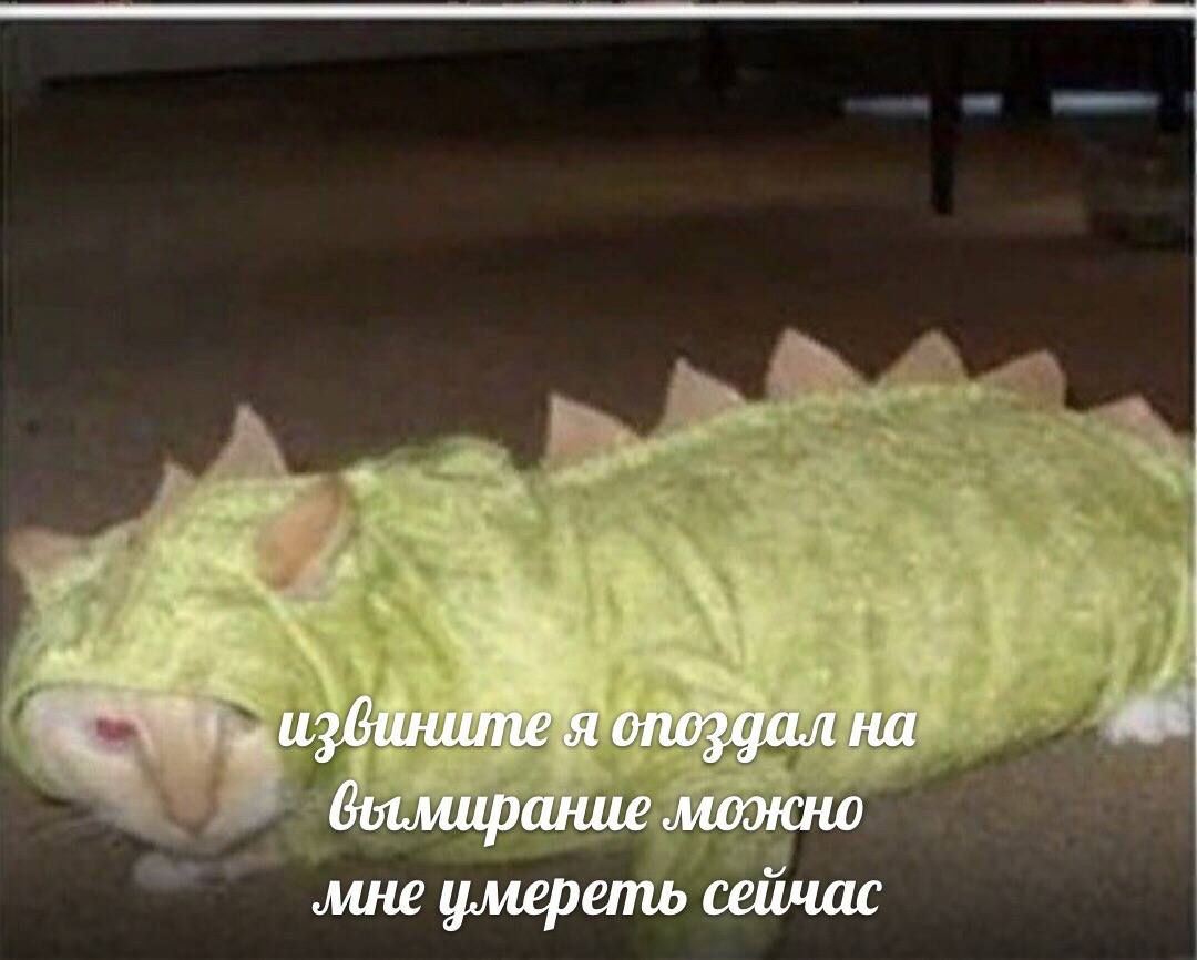 a a вымирание можнс мне умереть сейчас