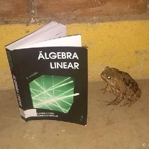 ALGEBRA LINEAR