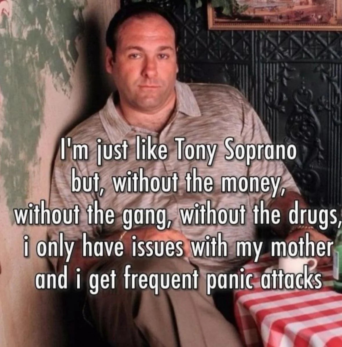 just like Tony Soprano but, without the money, without the gang, without the drugs, i only have issues with my mother and i get frequent panic attacks