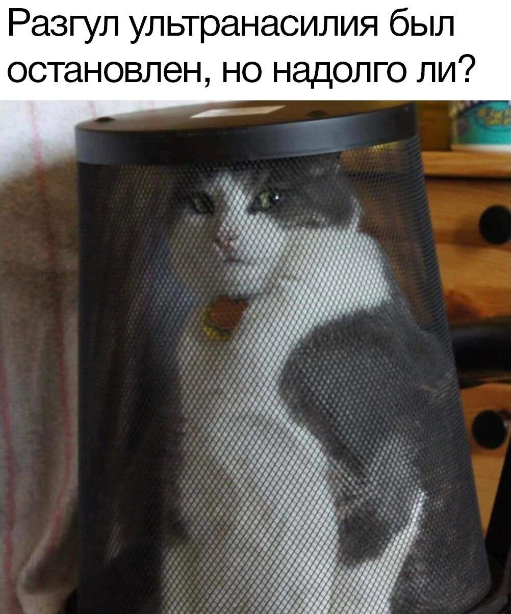 Разгул ультранасилия был остановлен, но надолго ли?