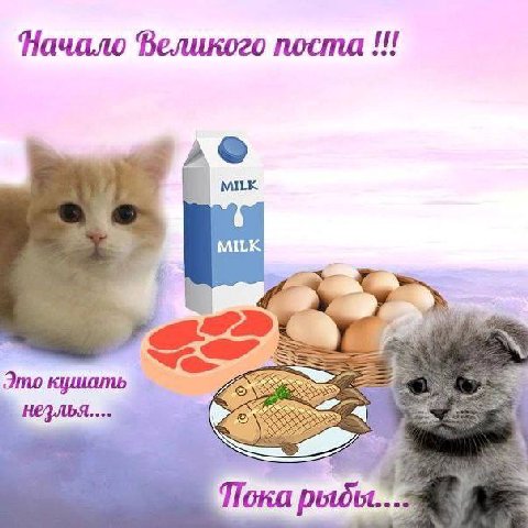Начало поста eee MILK Это кушать 3 Пока рыбы...