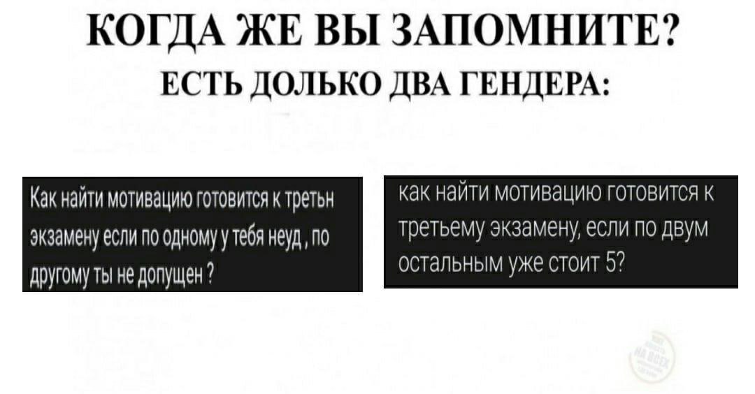 КОГДА ЖЕ ВЫ ЗАПОМНИТЕ? ЕСТЬ ДОЛЬКО ДВА ГЕНДЕРА: Как найти мотивацию готовится третьн как найти мотивацию готовится к экзамену если по одному у тебя неуд, по третьему экзамену, если по двум не допущен 
