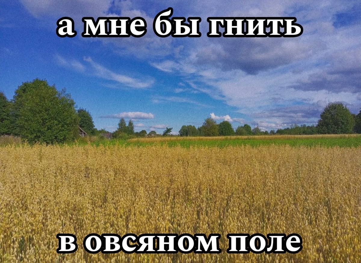 Обожаю эту картинку