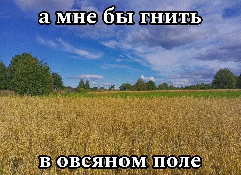 Обожаю эту картинку