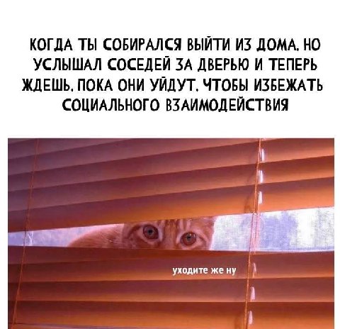 КОГДА ТЫ СОБИРАЛСЯ ВЫЙТИ ИЗ ДОМА, НО УСЛЫШАЛ СОСЕДЕЙ ЗА ДВЕРЬЮ И ТЕПЕРЬ ЖДЕШЬ, ПОКА ОНИ УЙДУТ, ЧТОБЫ ИЗБЕЖАТЬ СОЦИАЛЬНОГО ВЗАИМОДЕЙСТВИЯ уходите же ну