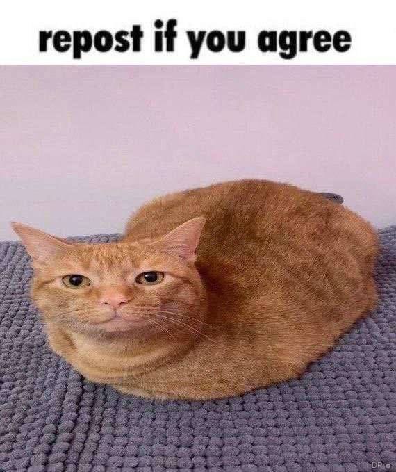 repost if you agree