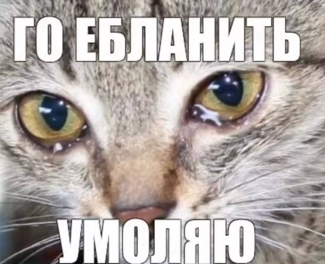 Тгк в январе такие: