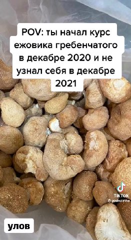этот тикток придумал мегамозг