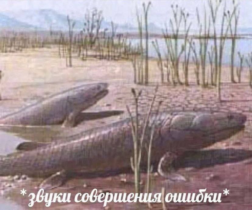 9 nam i wer 2. Fla и“ совершения