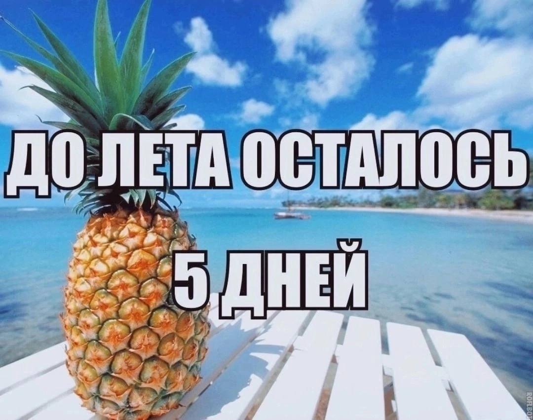 “у ДО ЛЕТА ОСТАЛОСЬ 4 ПЕЙ