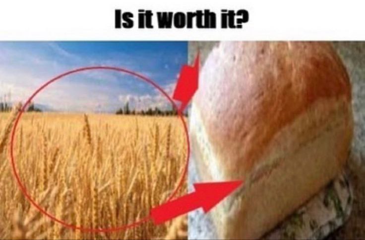 Is it worth it? у; of,