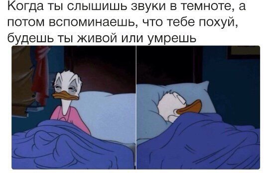 Когда ты слышишь звуки в темноте, а потом вспоминаешь, что тебе похуй, будешь ты живой или умрешь у