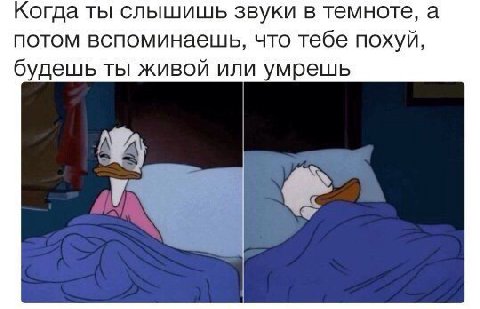 Когда ты слышишь звуки в темноте, а потом вспоминаешь, что тебе похуй, будешь ты живой или умрешь у