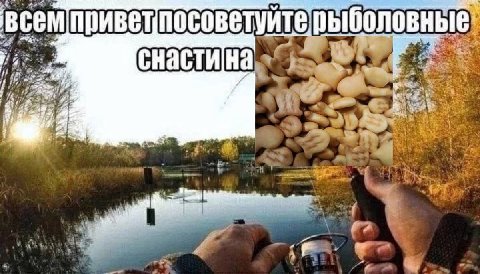 посоветуйте терыболовные ДРК at 1