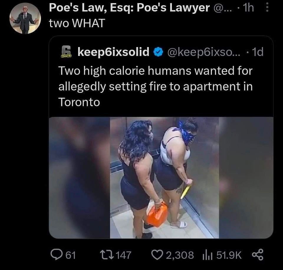 Poe's Law, Esq: Poe's Lawyer two WHAT В keep6ixsolid -19 Two high calorie humans wanted for allegedly setting fire to apartment in Toronto 2,308 51.9К 6