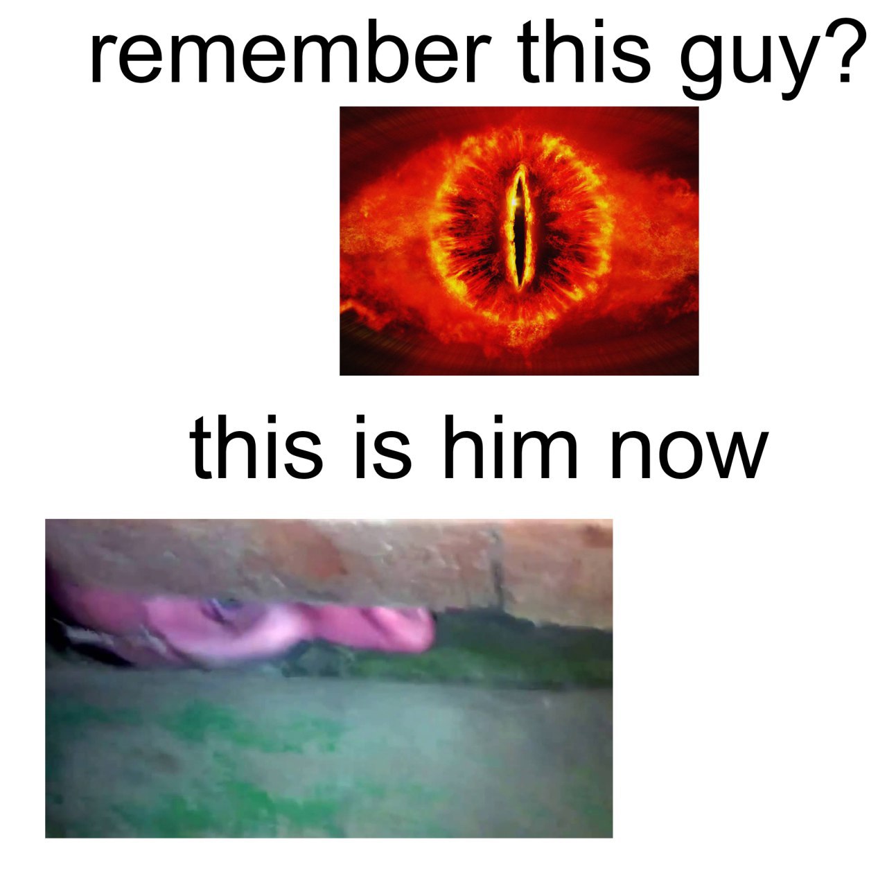 remember this guy? this is him now